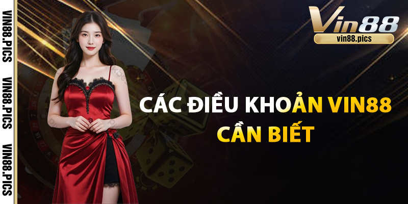 Điều Khoản Vin88 – Chơi An Toàn, Tránh Mọi Rủi Ro 1 Các điều khoản Vin88 cần biết