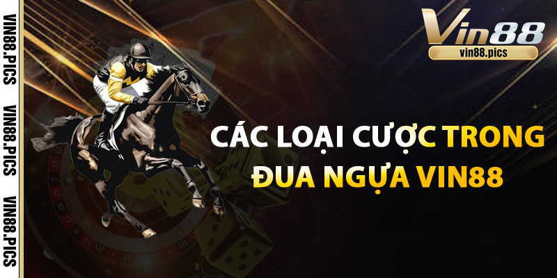 Đua Ngựa Vin88 – Hồi Hộp Cuộc Đua, Hào Hứng Phần Thưởng 3 Các loại cược trong Đua Ngựa Vin88